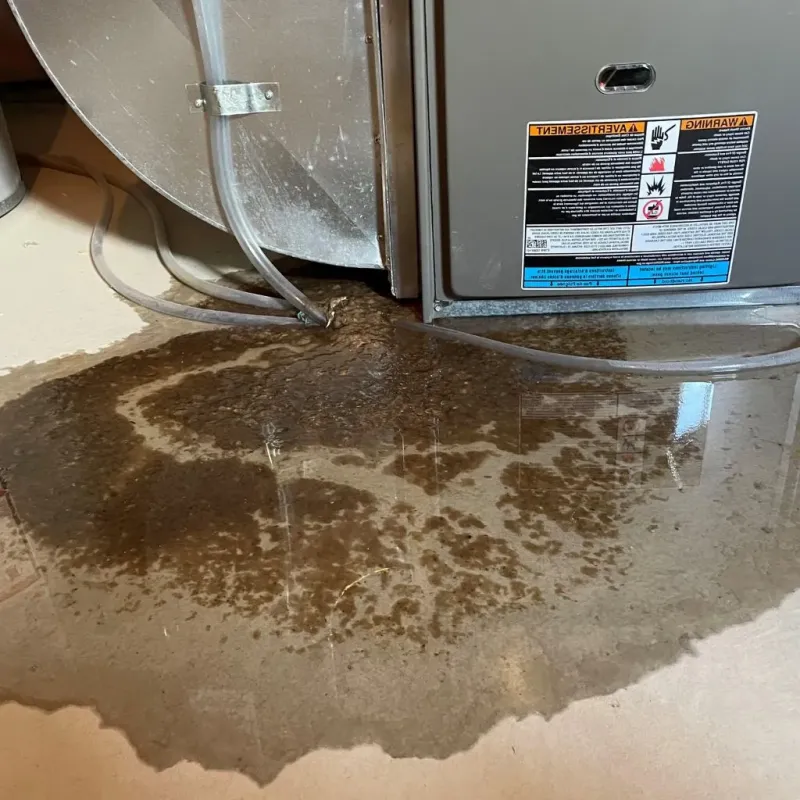 Pipe Burst and Leak Restoration in Tompkins County, NY